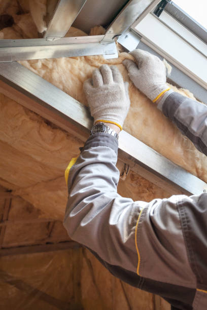 Best Insulation Replacement Services  in Pittsville, MD